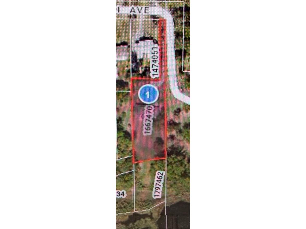 1422 E 8th Avenue Mount Dora FL 32757 O6334659 image63