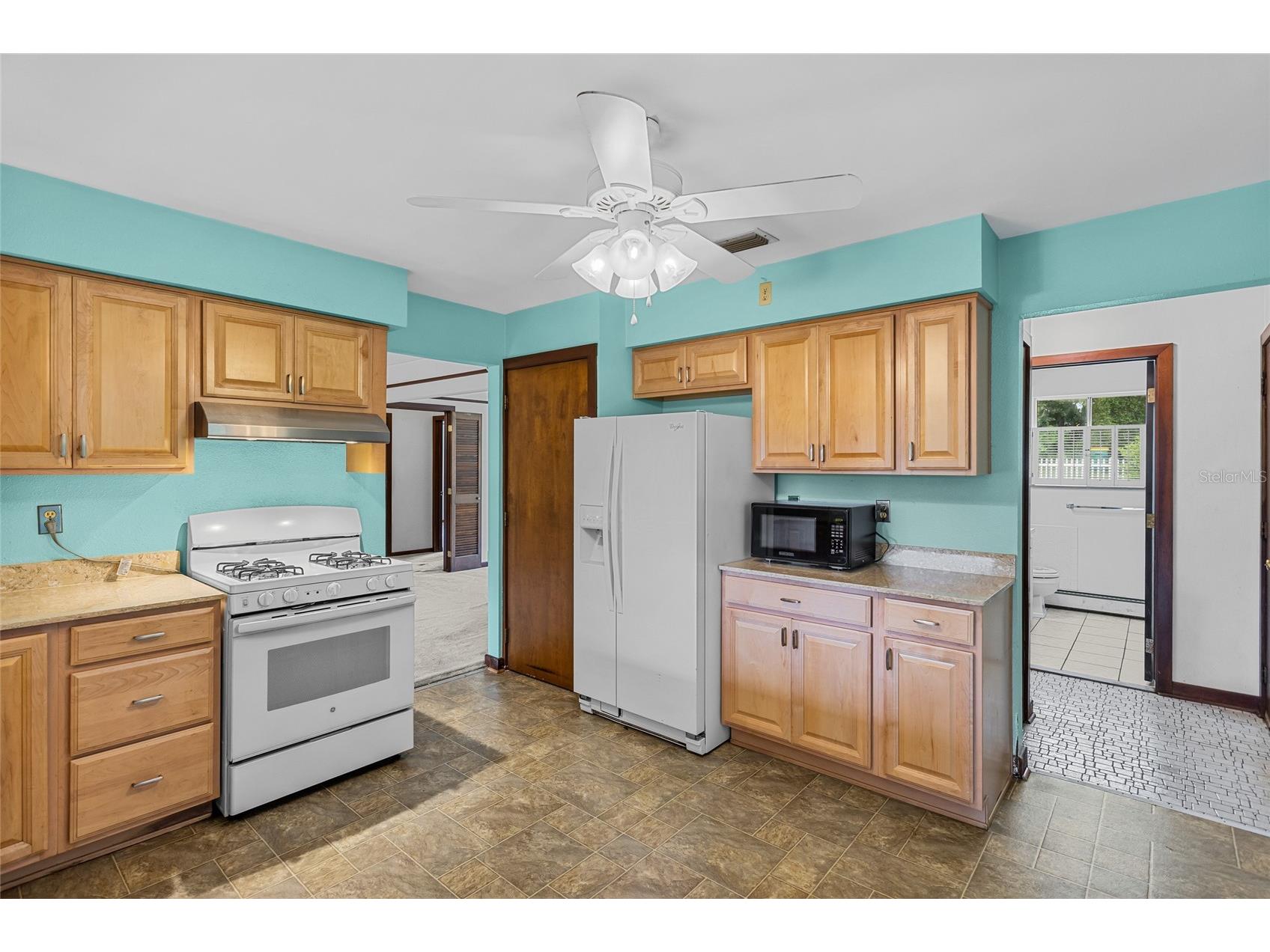 1422 E 8th Avenue Mount Dora FL 32757 O6334659 image7