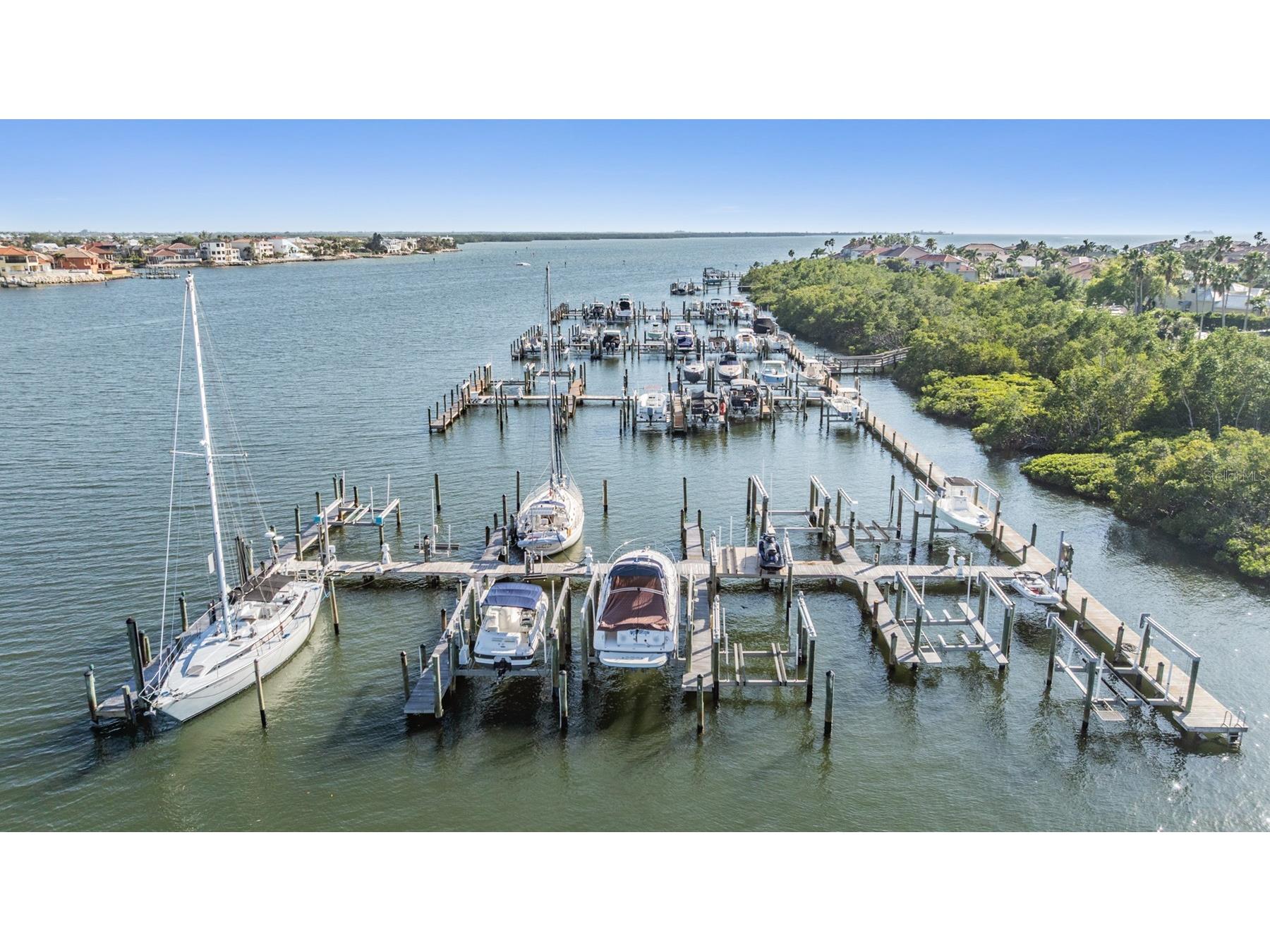 1422 Jumana Loop Apollo Beach FL 33572 TB8492405 image50