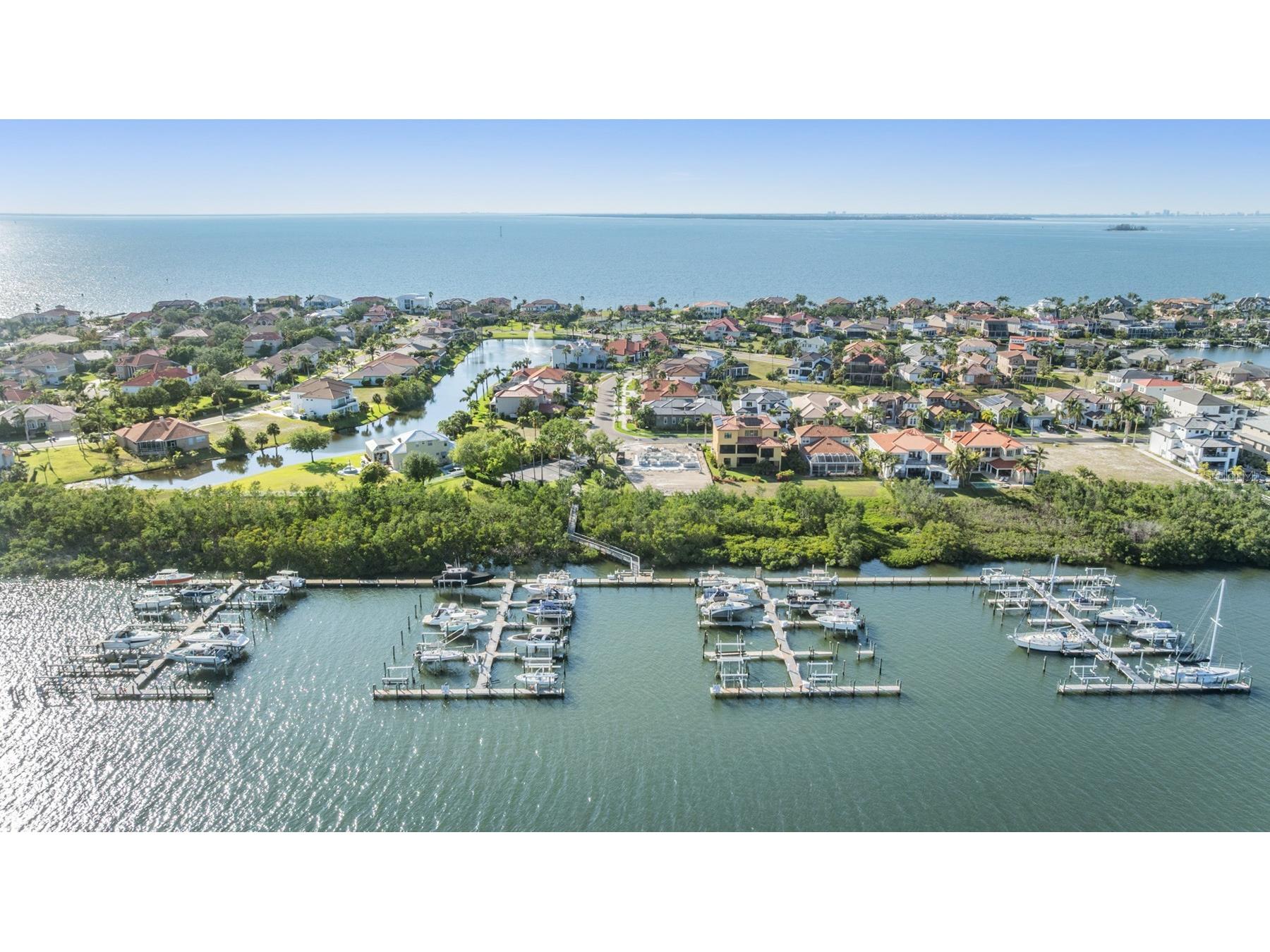 1422 Jumana Loop Apollo Beach FL 33572 TB8492405 image54