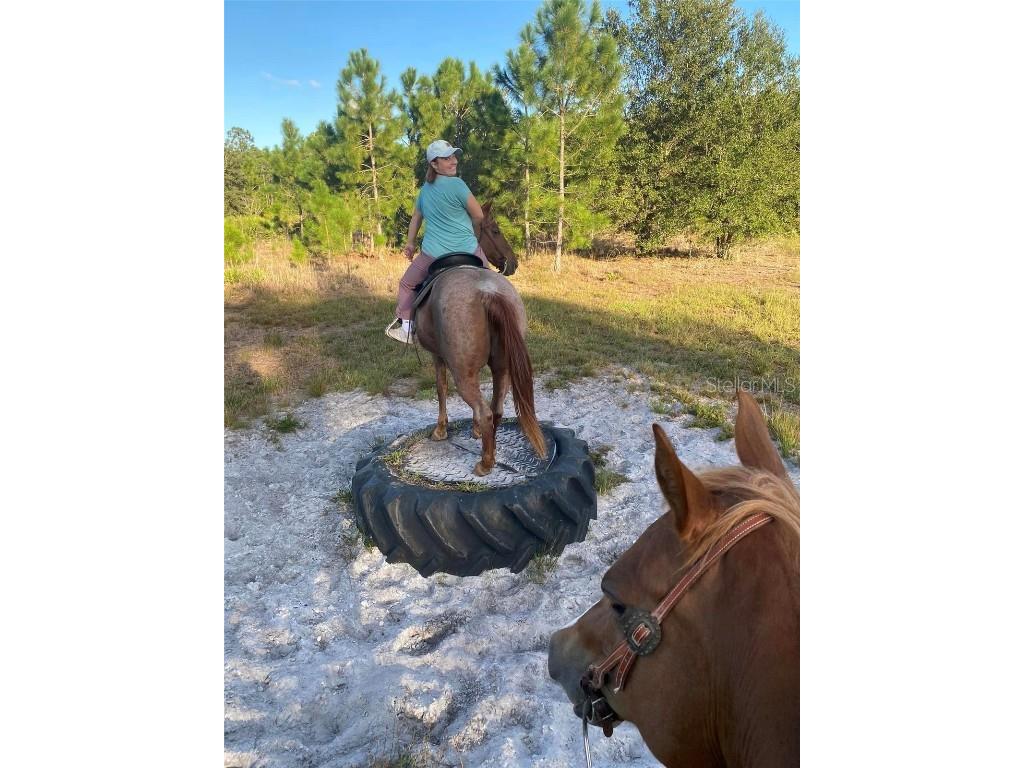 1422 Lightfoot Road Wimauma FL 33598 - LITTLE MANATEE RIVER TB8416407 image87