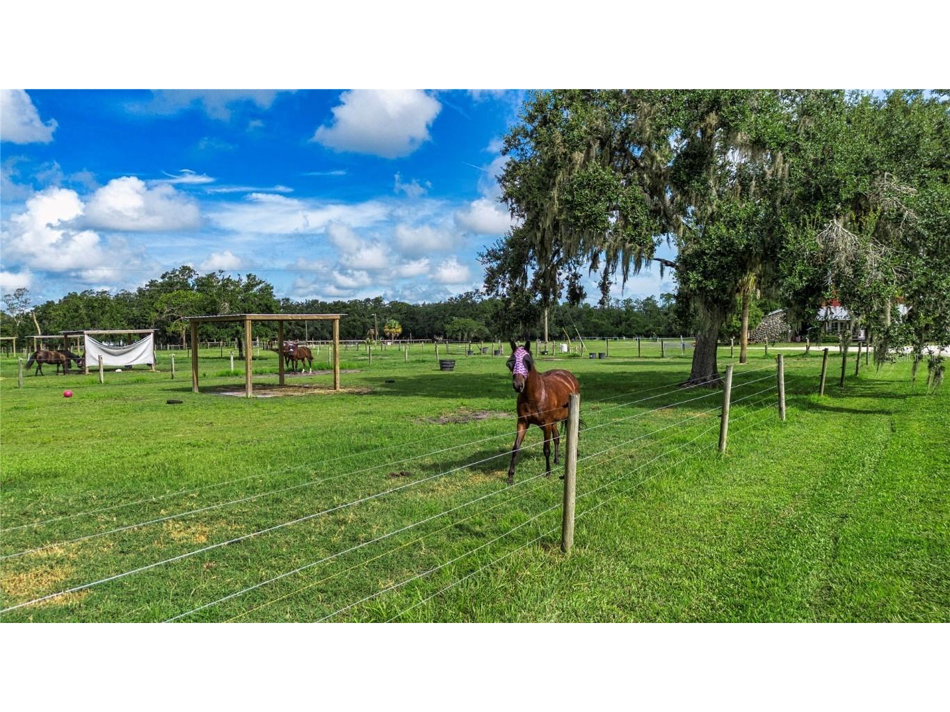 1422 Lightfoot Road Wimauma FL 33598 - LITTLE MANATEE RIVER TB8416407 image89