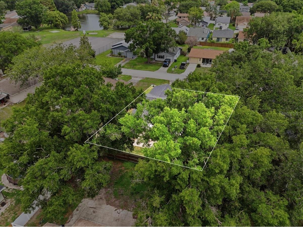 1422 Periwinkle Court Lakeland FL 33811 L4962419 image45