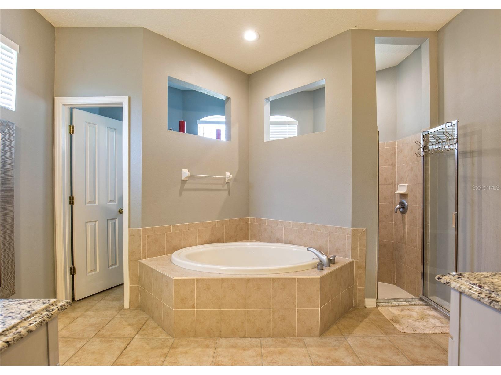 1422 Tawnyberry Court Trinity FL 34655 TB8486905 image17