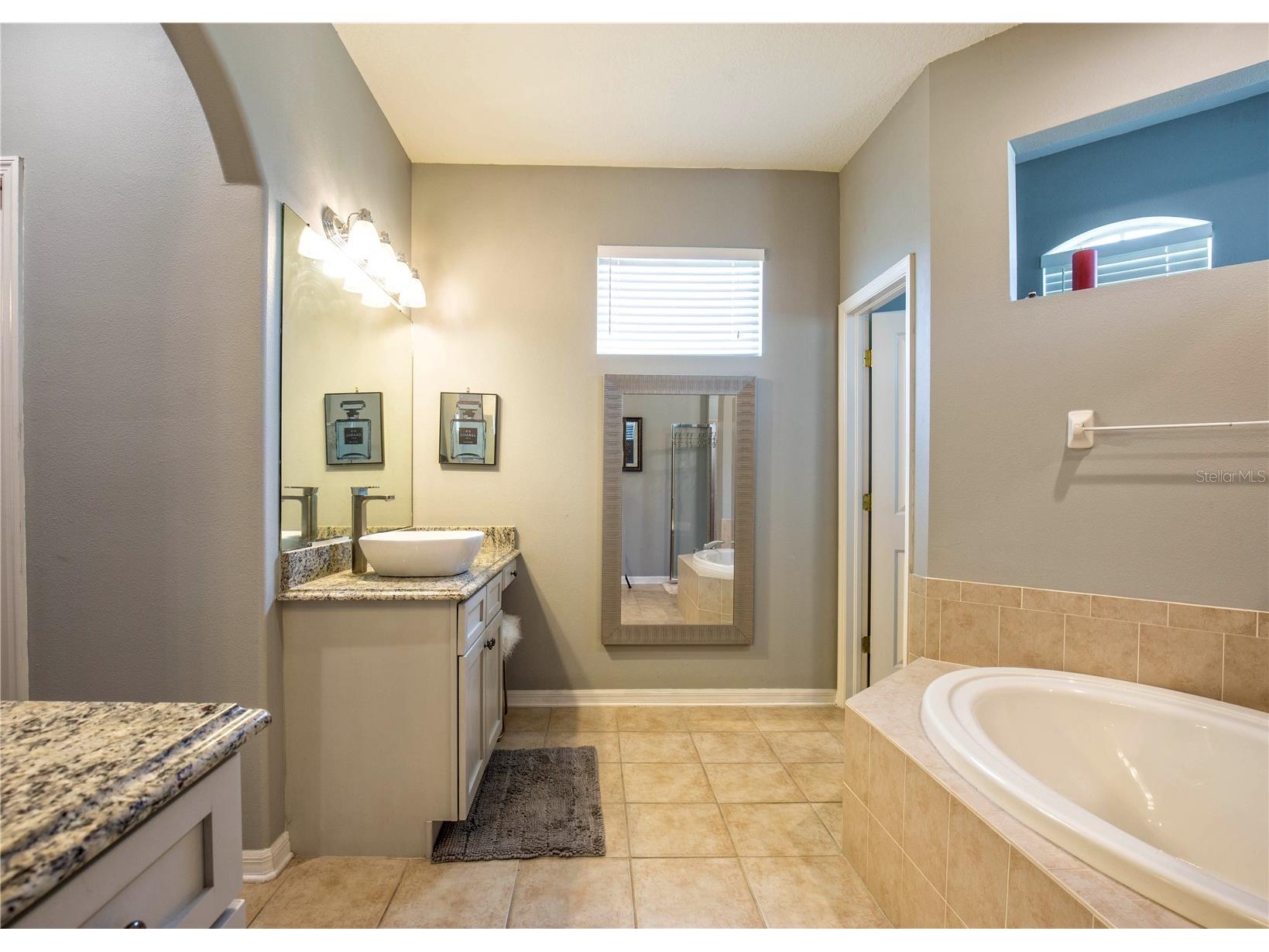 1422 Tawnyberry Court Trinity FL 34655 TB8486905 image18