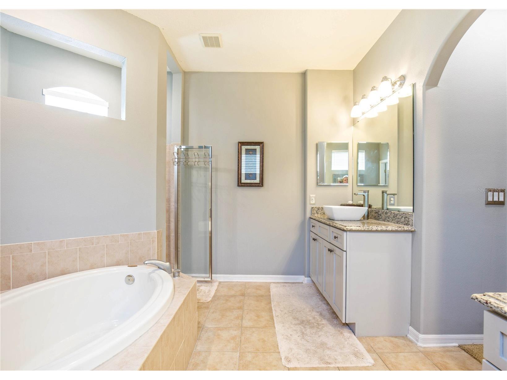 1422 Tawnyberry Court Trinity FL 34655 TB8486905 image19