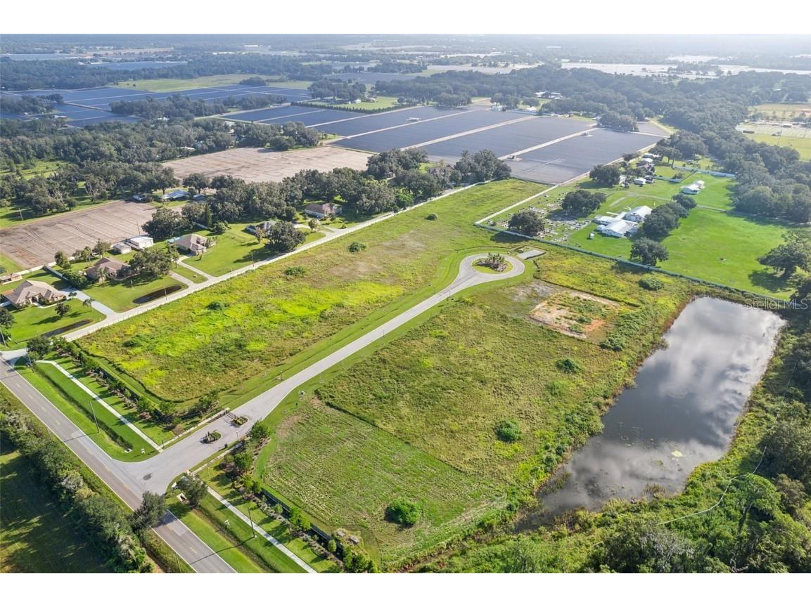 14220 Pine Straw Court Dover FL 33527 TB8305130 image1