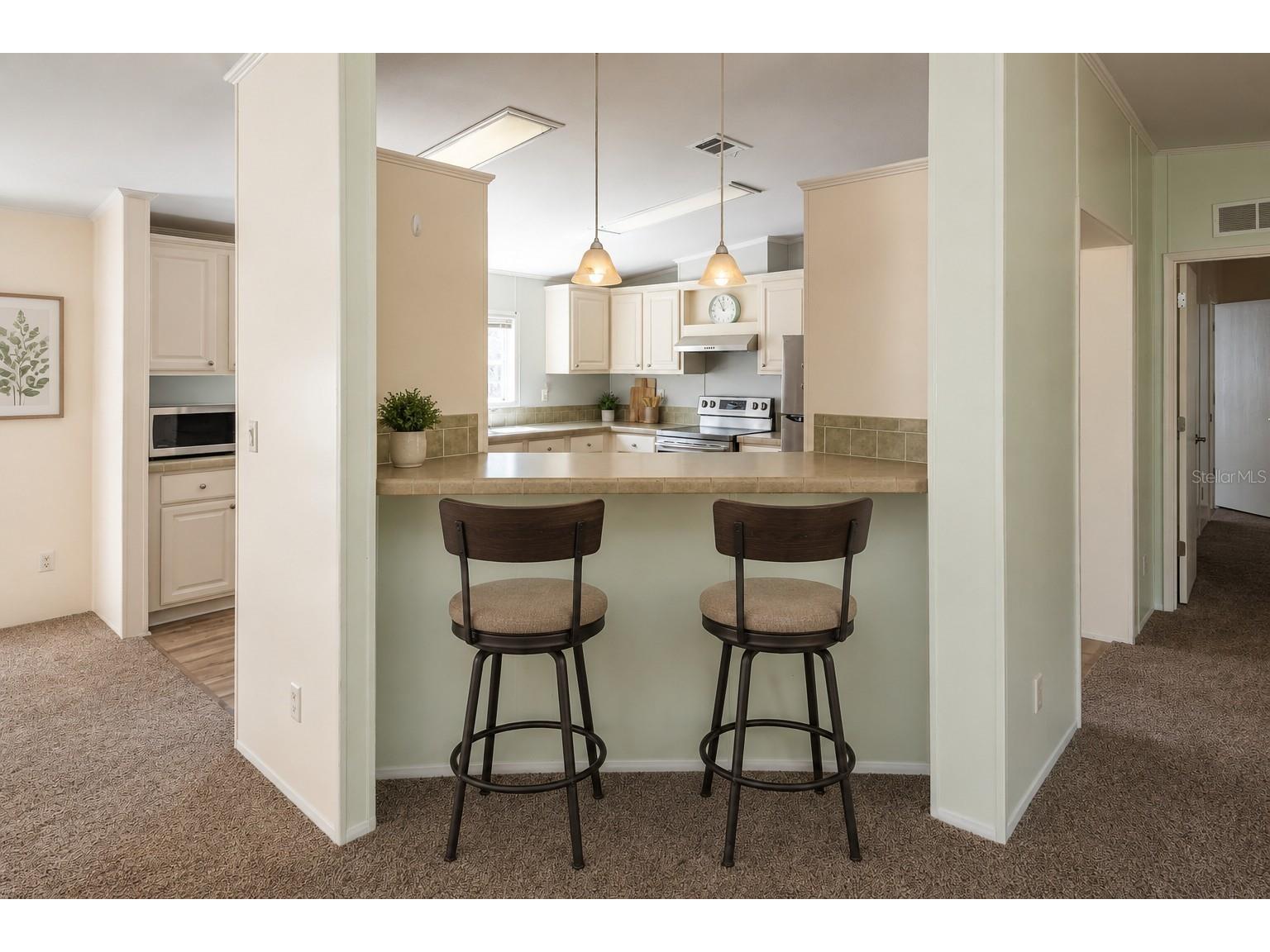 14221 Hurricane Drive Weeki Wachee FL 34614 TB8509527 image16