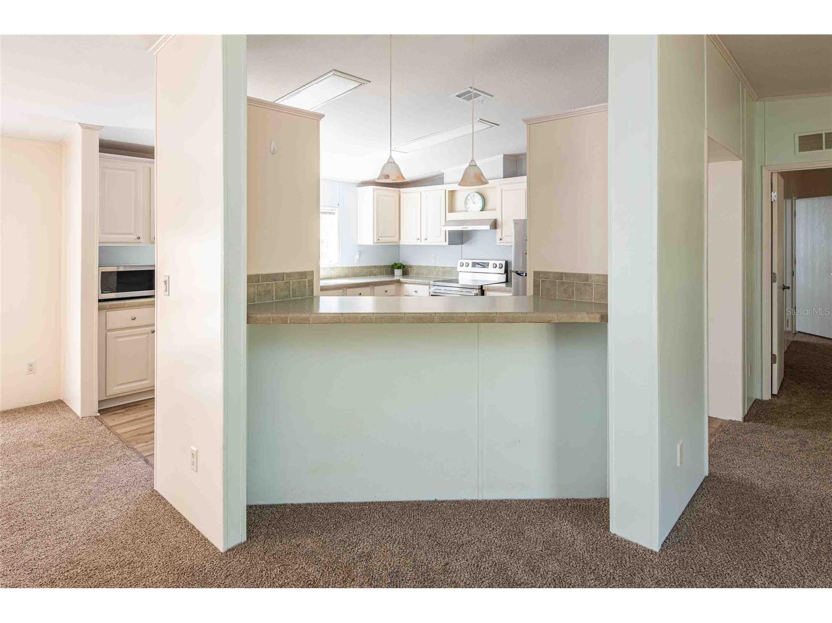 14221 Hurricane Drive Weeki Wachee FL 34614 TB8509527 image17