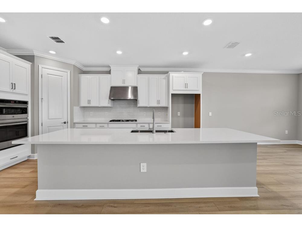 14223 Sawmill Street Parrish FL 34219 TB8482537 image2
