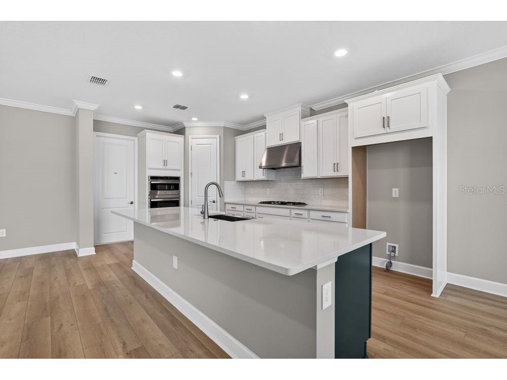 14223 Sawmill Street Parrish FL 34219 TB8482537 image3