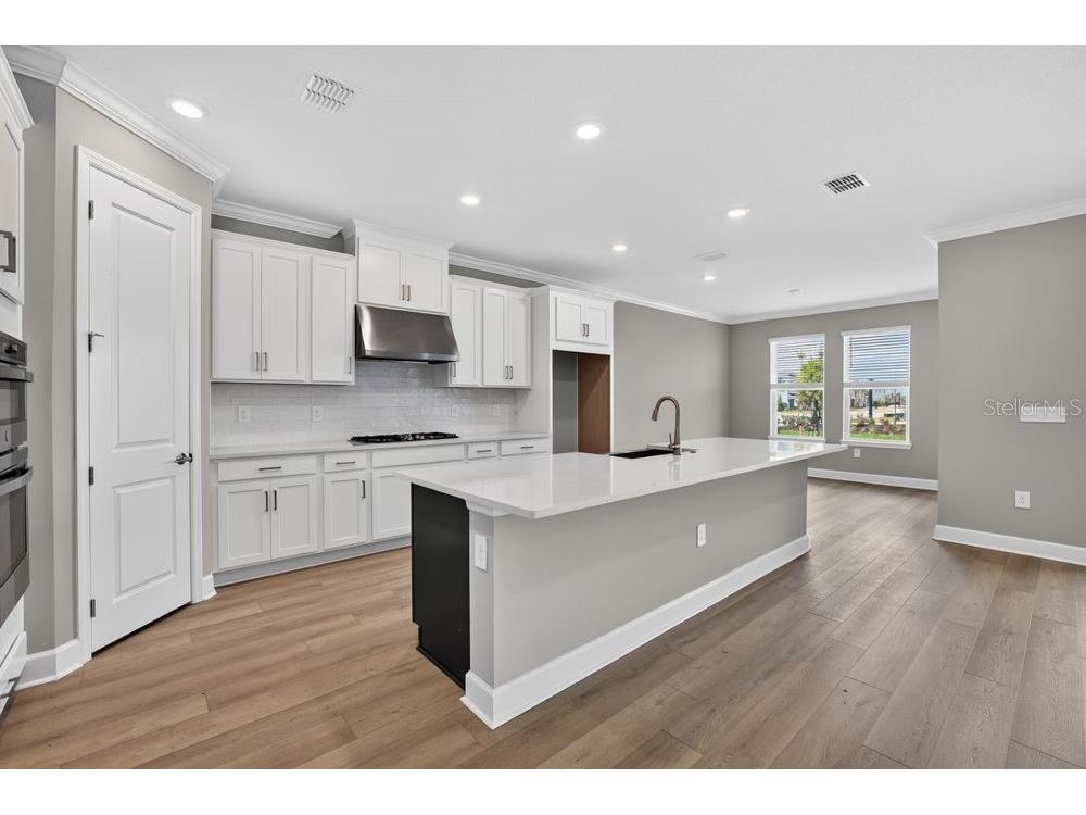 14223 Sawmill Street Parrish FL 34219 TB8482537 image7