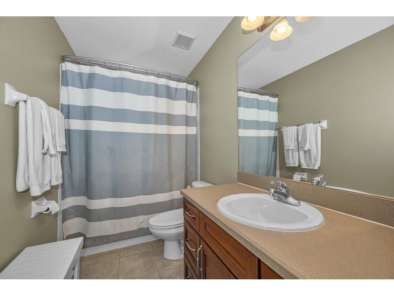 14224 Creek Run Drive Riverview FL 33579 TB8497171 image19