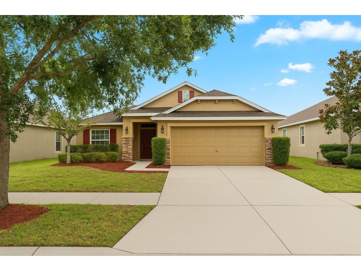 14224 Edinburgh Moor Drive Wimauma FL 33598 TB8394001 image1