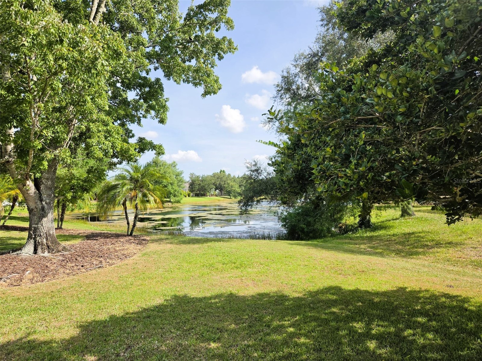 14224 Gnatcatcher Terrace Bradenton FL 34202 A4697253 image10