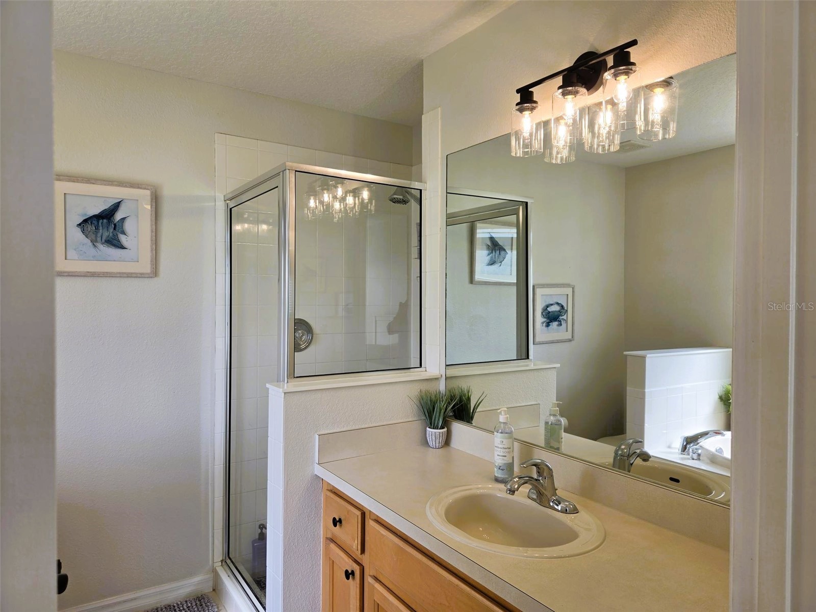 14224 Gnatcatcher Terrace Bradenton FL 34202 A4697253 image26