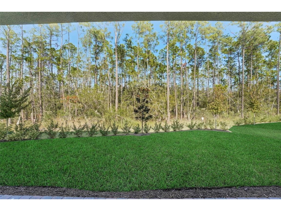 14225 Crest Palm Avenue Windermere FL 34786 G5101495 image54