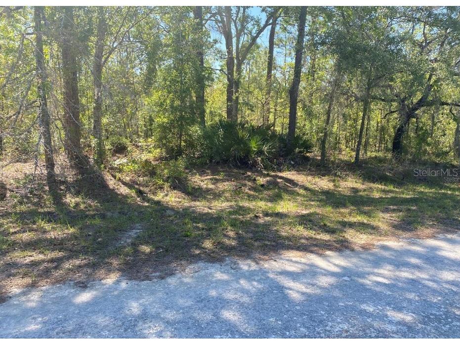 14227 Earline Road Brooksville FL 34614 U8255282 image1