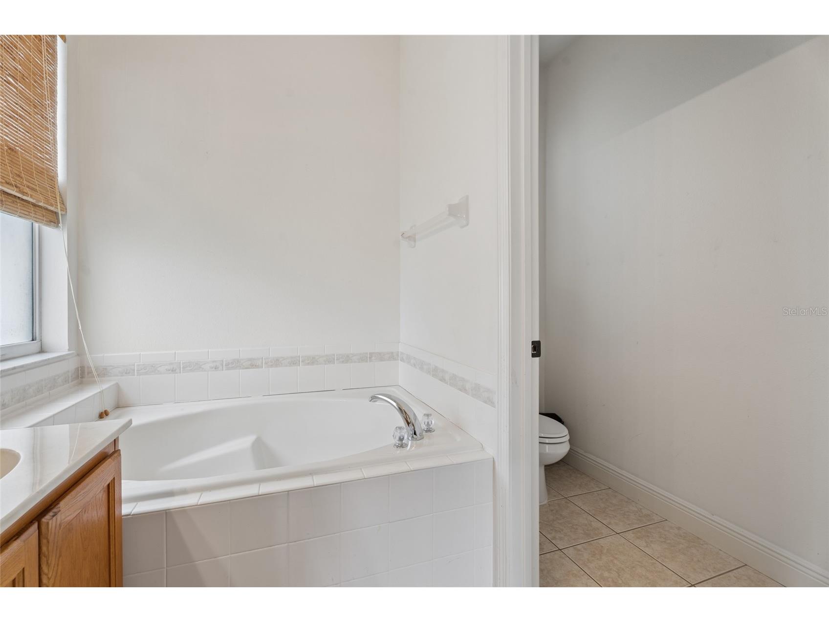 14227 Lake Live Oak Drive Orlando FL 32828 O6395333 image16