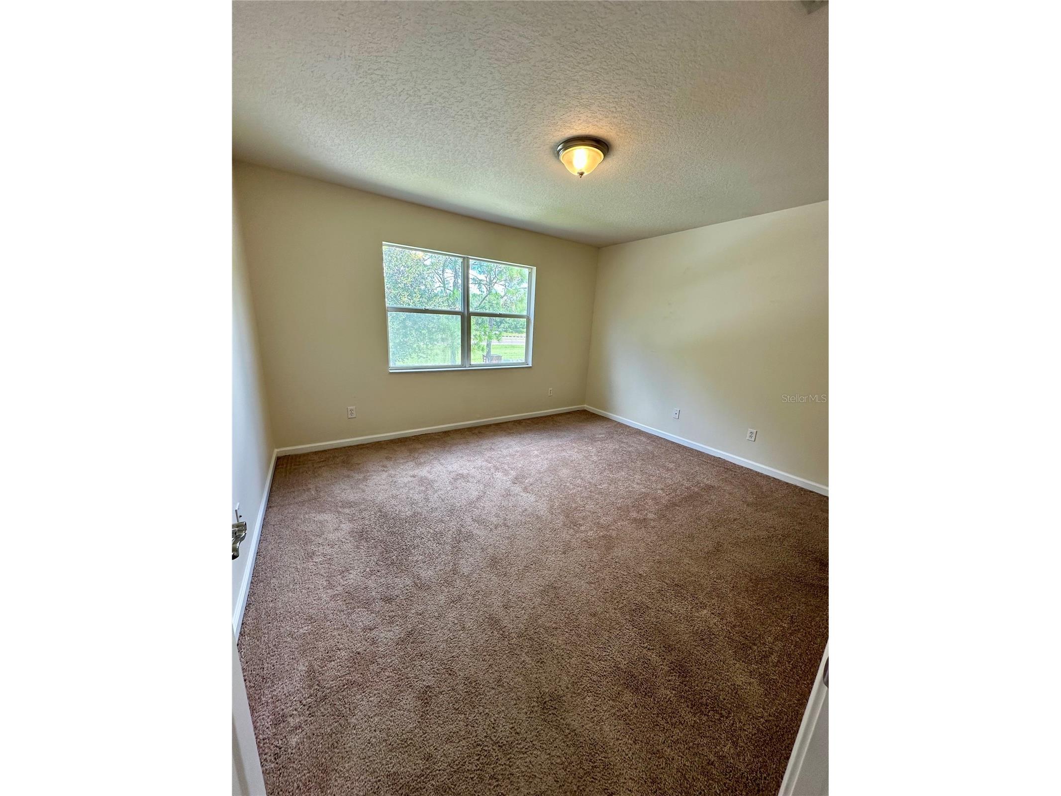 14227 Wake Robin Drive Brooksville FL 34604 W7887254 image28