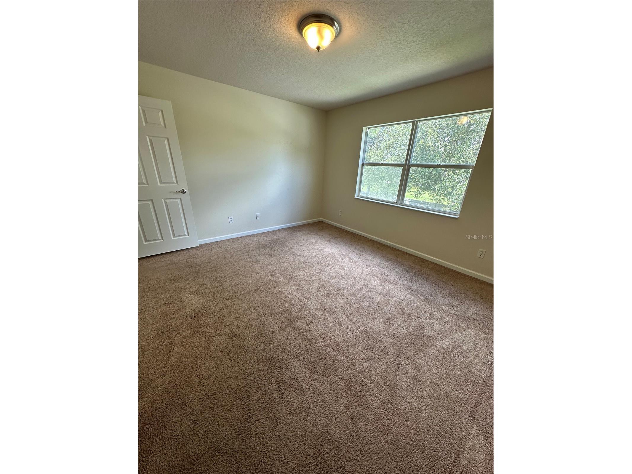 14227 Wake Robin Drive Brooksville FL 34604 W7887254 image29