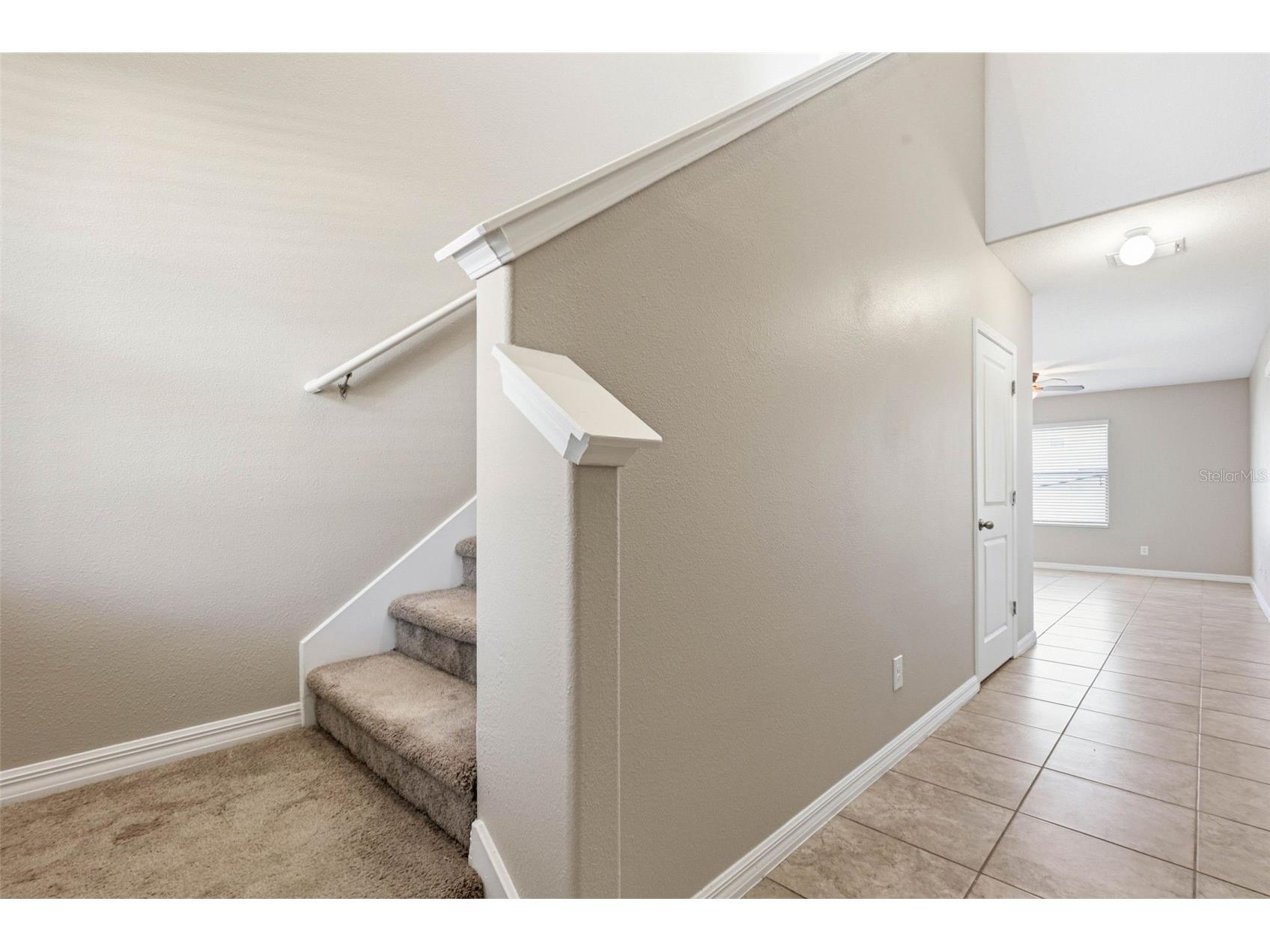 14228 Covert Green Place Riverview FL 33579 TB8477840 image19