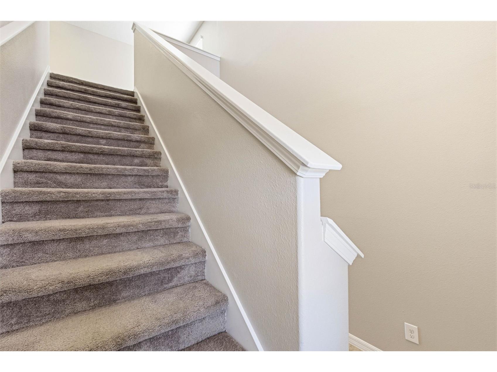 14228 Covert Green Place Riverview FL 33579 TB8477840 image20