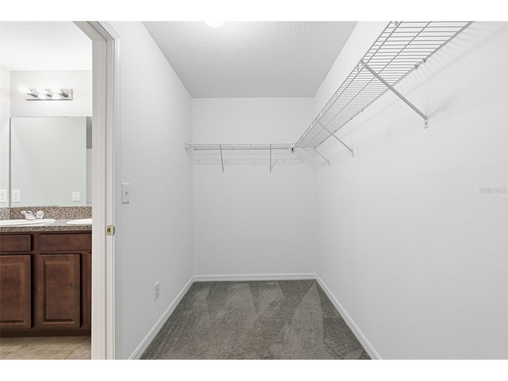 14228 Covert Green Place Riverview FL 33579 TB8477840 image29