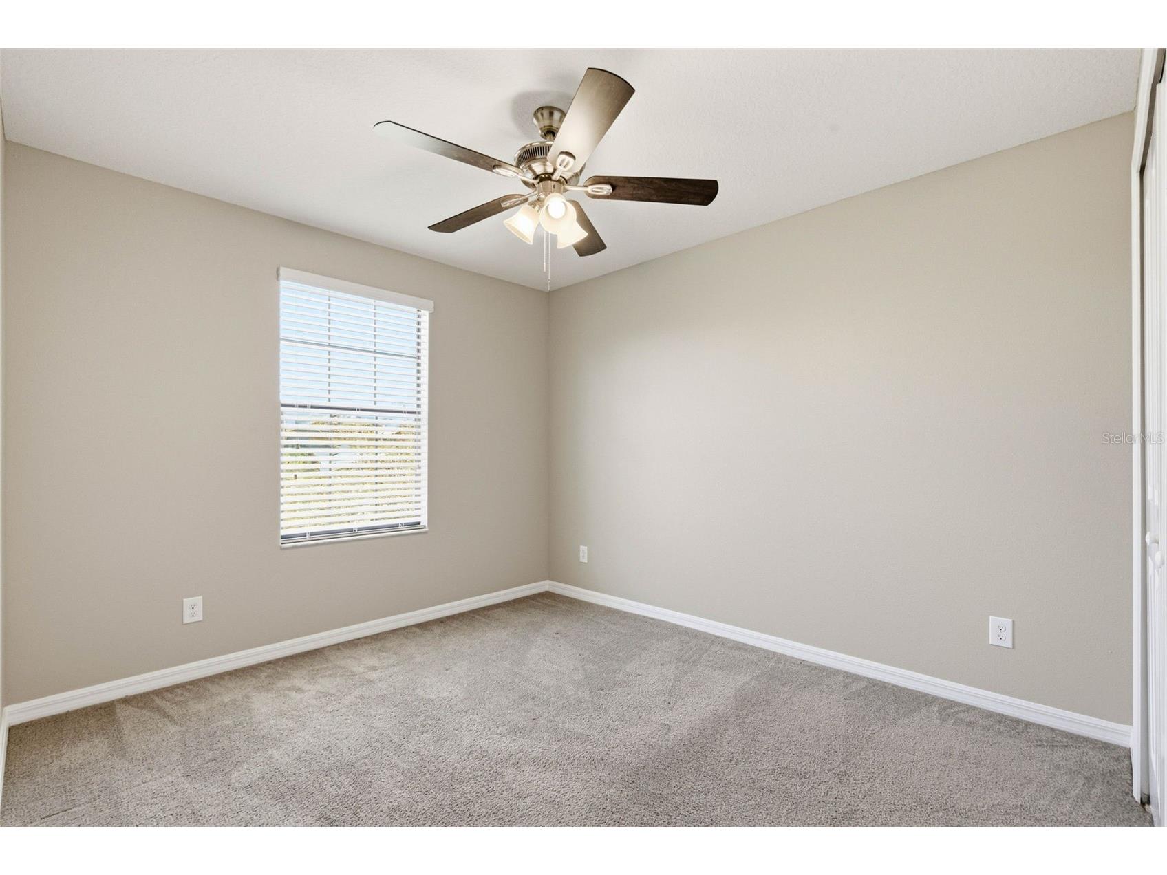 14228 Covert Green Place Riverview FL 33579 TB8477840 image36