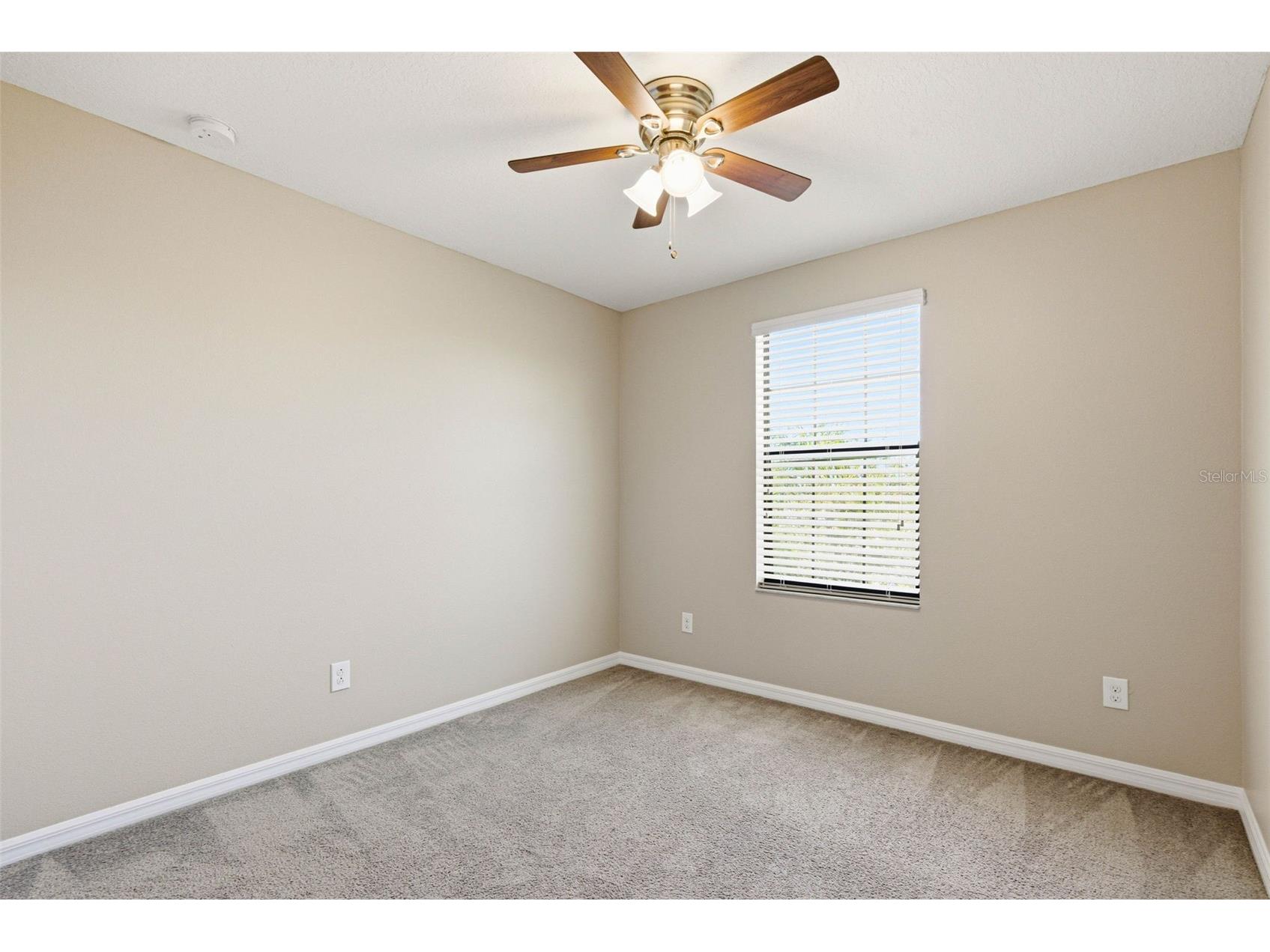 14228 Covert Green Place Riverview FL 33579 TB8477840 image43