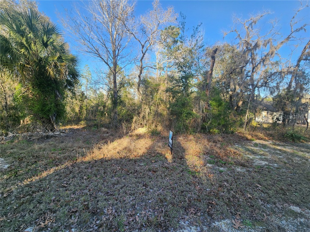 14228 Ermine Owl Road Weeki Wachee FL 34614 U8210742 image1