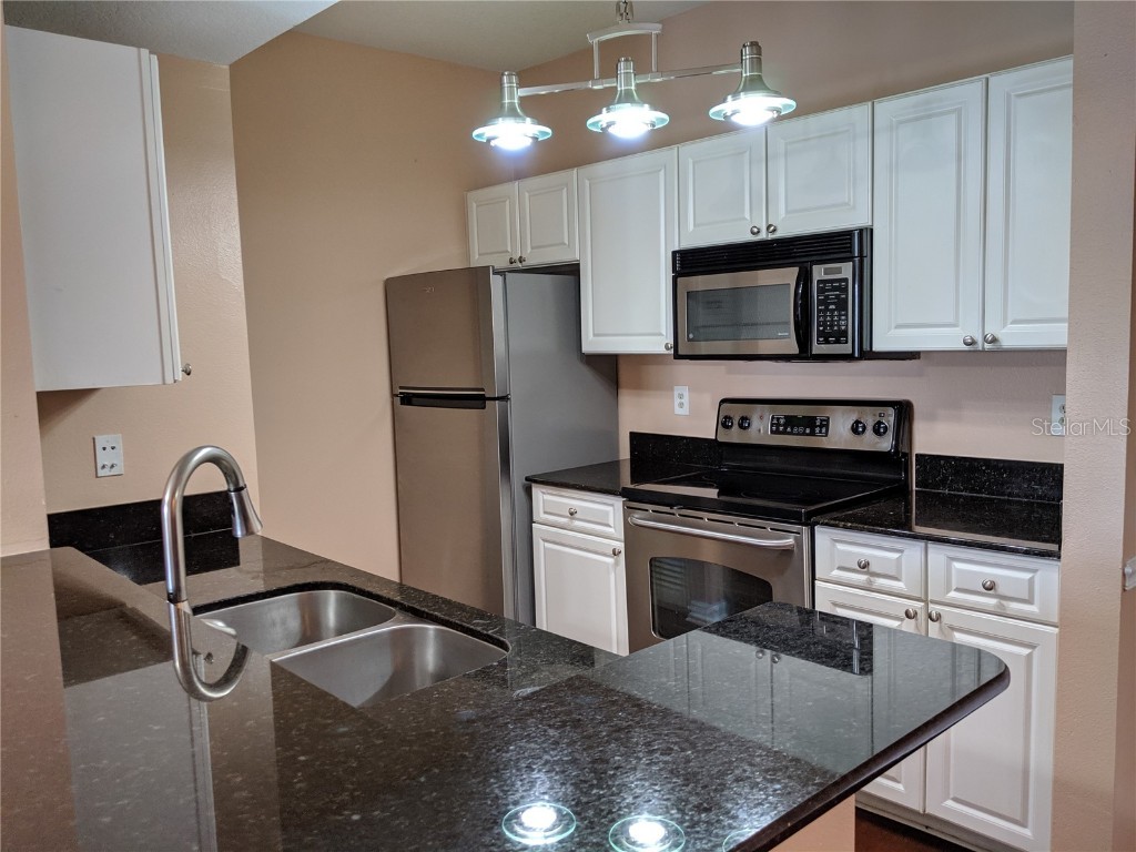 14229 Falls Church Drive #1705 Orlando FL 32837 O5999068 image1