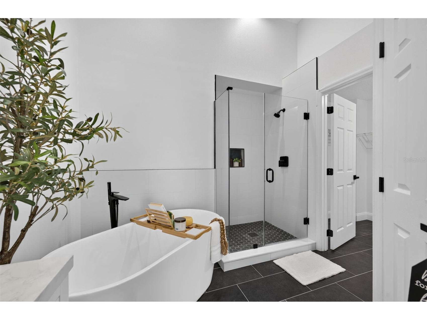 14229 Sapphire Bay Circle Orlando FL 32828 O6421325 image18