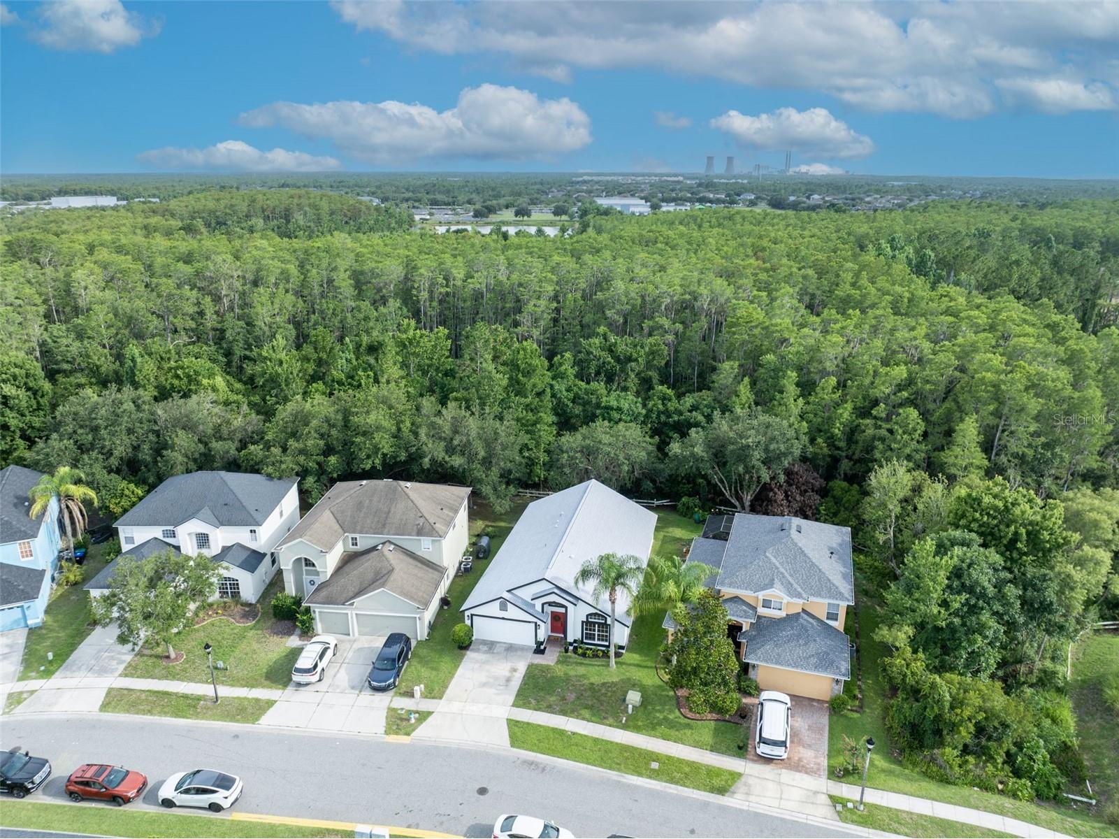 14229 Sapphire Bay Circle Orlando FL 32828 O6421325 image59