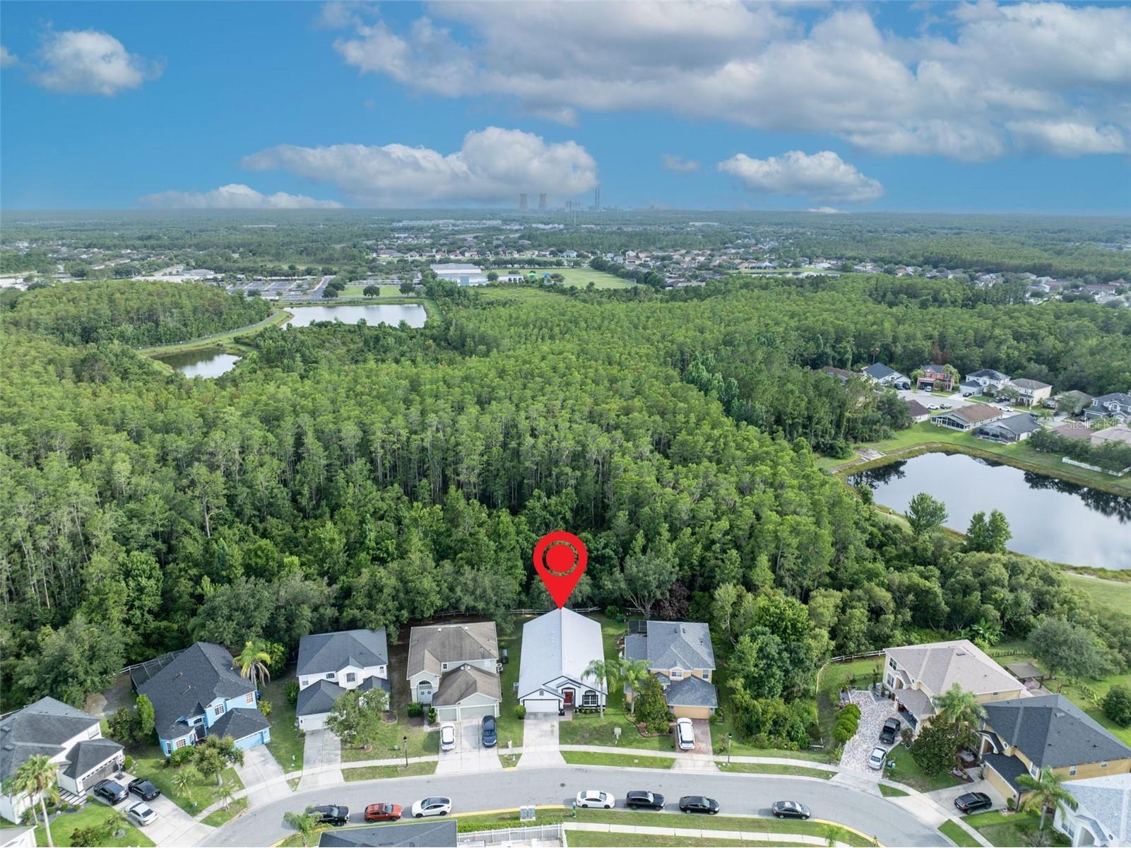 14229 Sapphire Bay Circle Orlando FL 32828 O6421325 image60