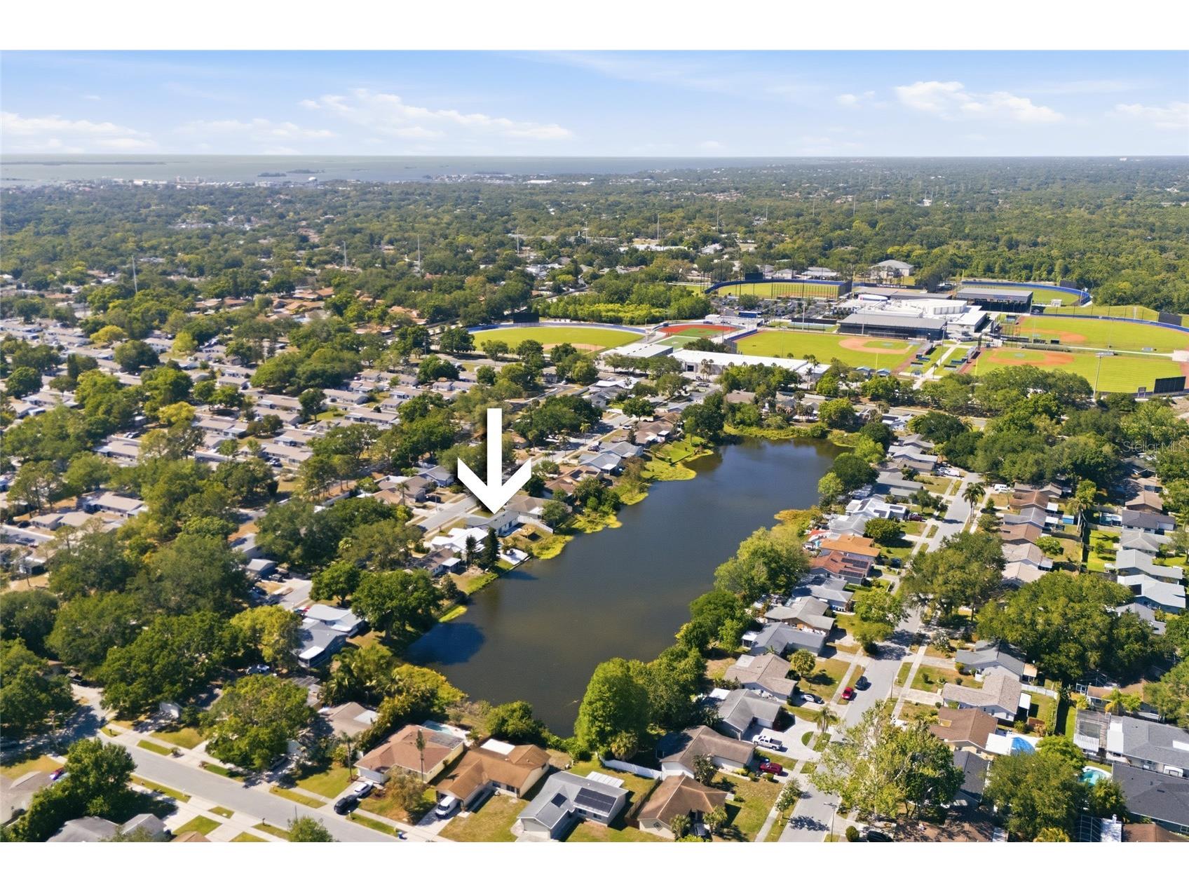 1423 Chesterfield Drive Dunedin FL 34698 TB8498758 image35