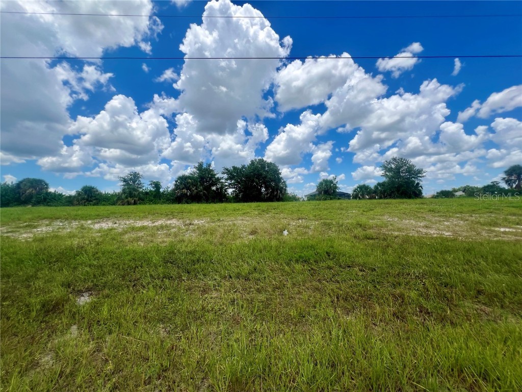 1423 NW 8th Terrace Cape Coral FL 33993 C7514531 image2