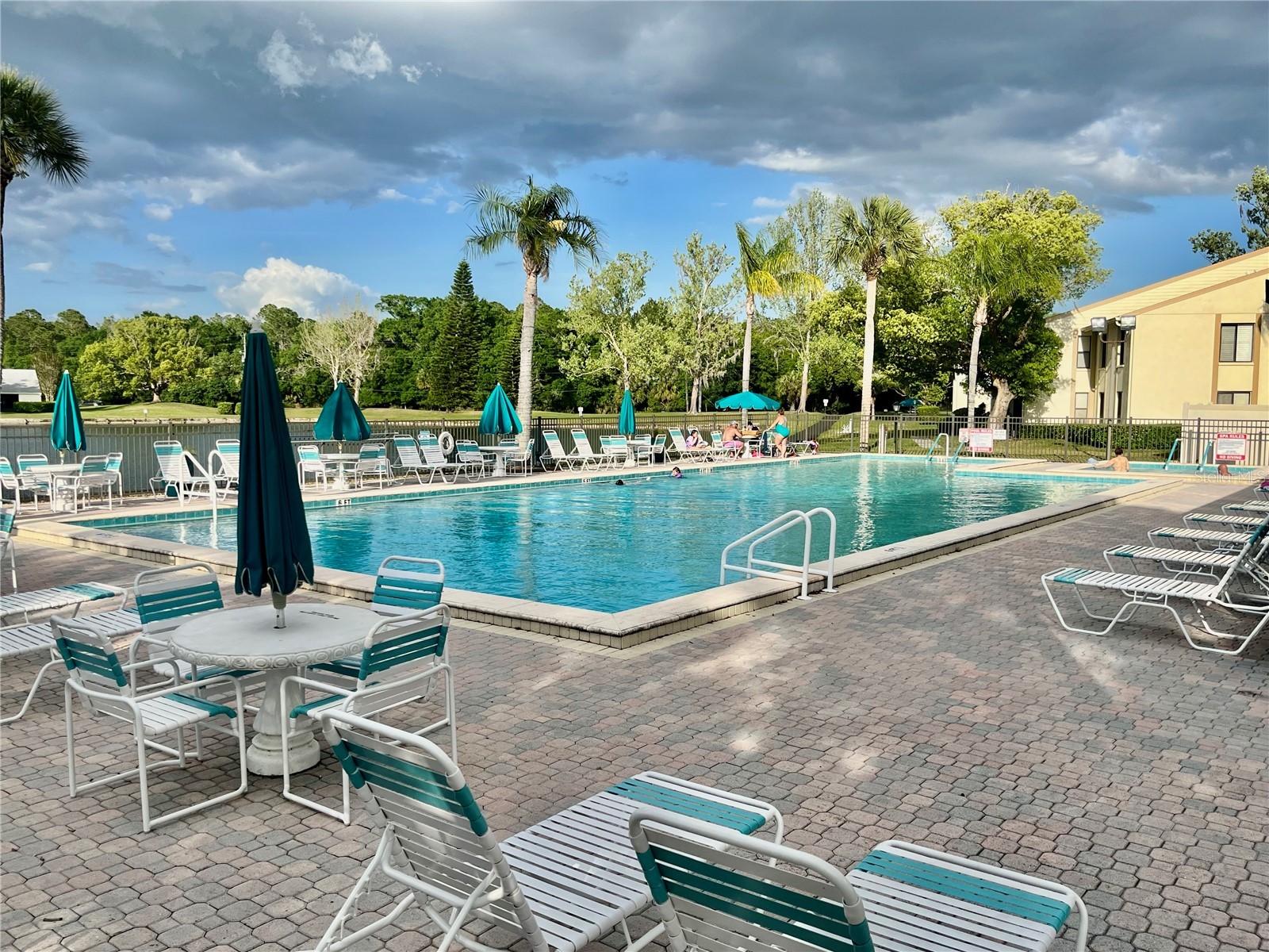 1423 Pine Glen Lane #H2 Tarpon Springs FL 34688 W7884515 image39
