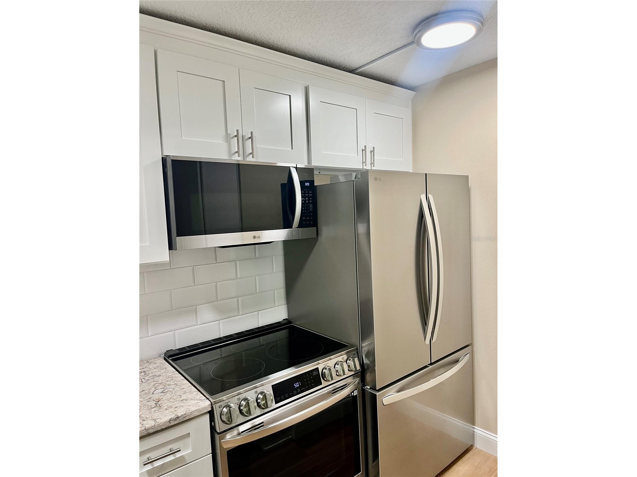 1423 Pine Glen Lane #H2 Tarpon Springs FL 34688 W7884515 image4