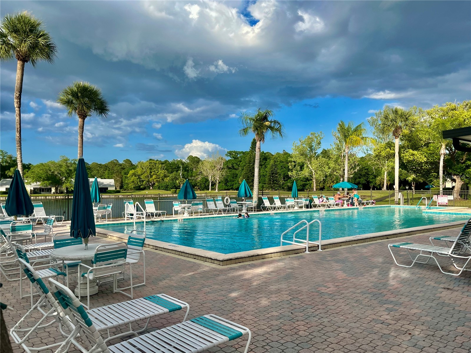 1423 Pine Glen Lane #H2 Tarpon Springs FL 34688 W7884515 image40