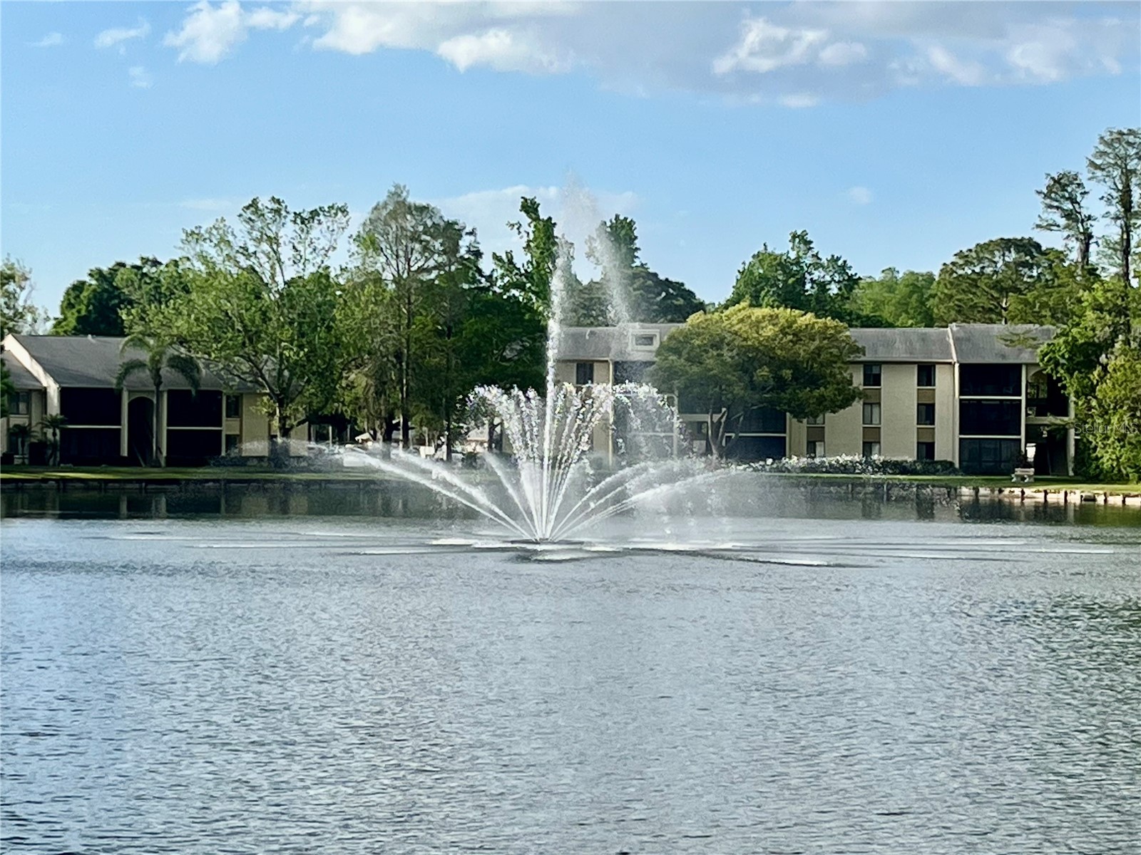 1423 Pine Glen Lane #H2 Tarpon Springs FL 34688 W7884515 image41