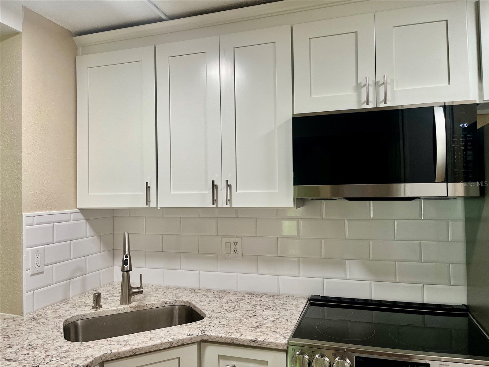 1423 Pine Glen Lane #H2 Tarpon Springs FL 34688 W7884515 image5