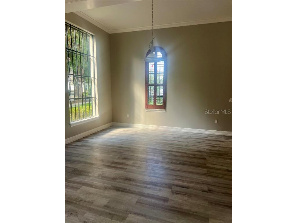 1423 Stickley Avenue Celebration FL 34747 S5129657 image28