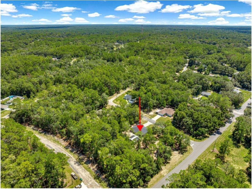 1423 W Hawk Lane Citrus Springs FL 34434 OM708748 image23