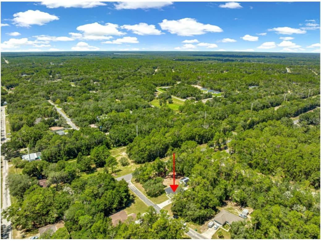 1423 W Hawk Lane Citrus Springs FL 34434 OM708748 image25