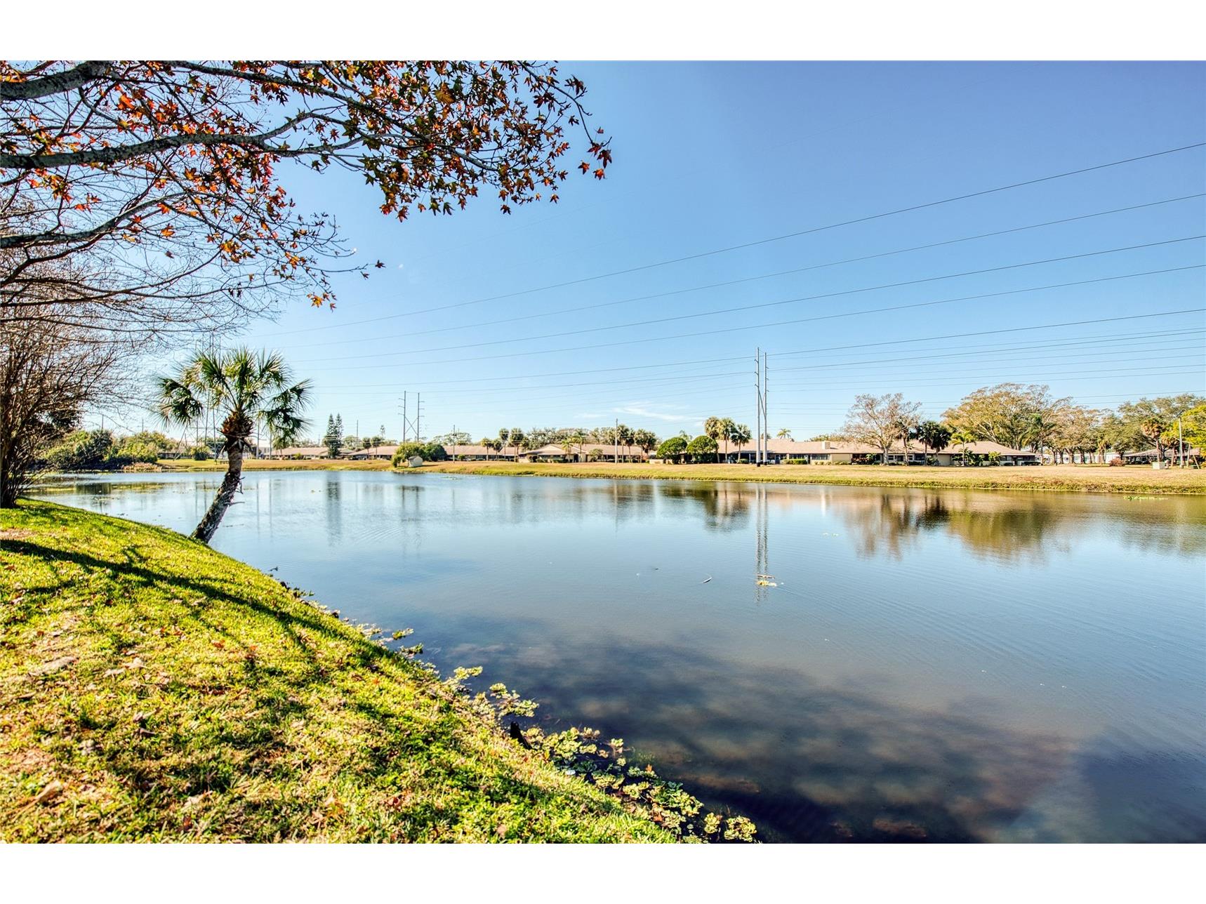 1423 Water View Drive W Largo FL 33771 TB8473014 image10