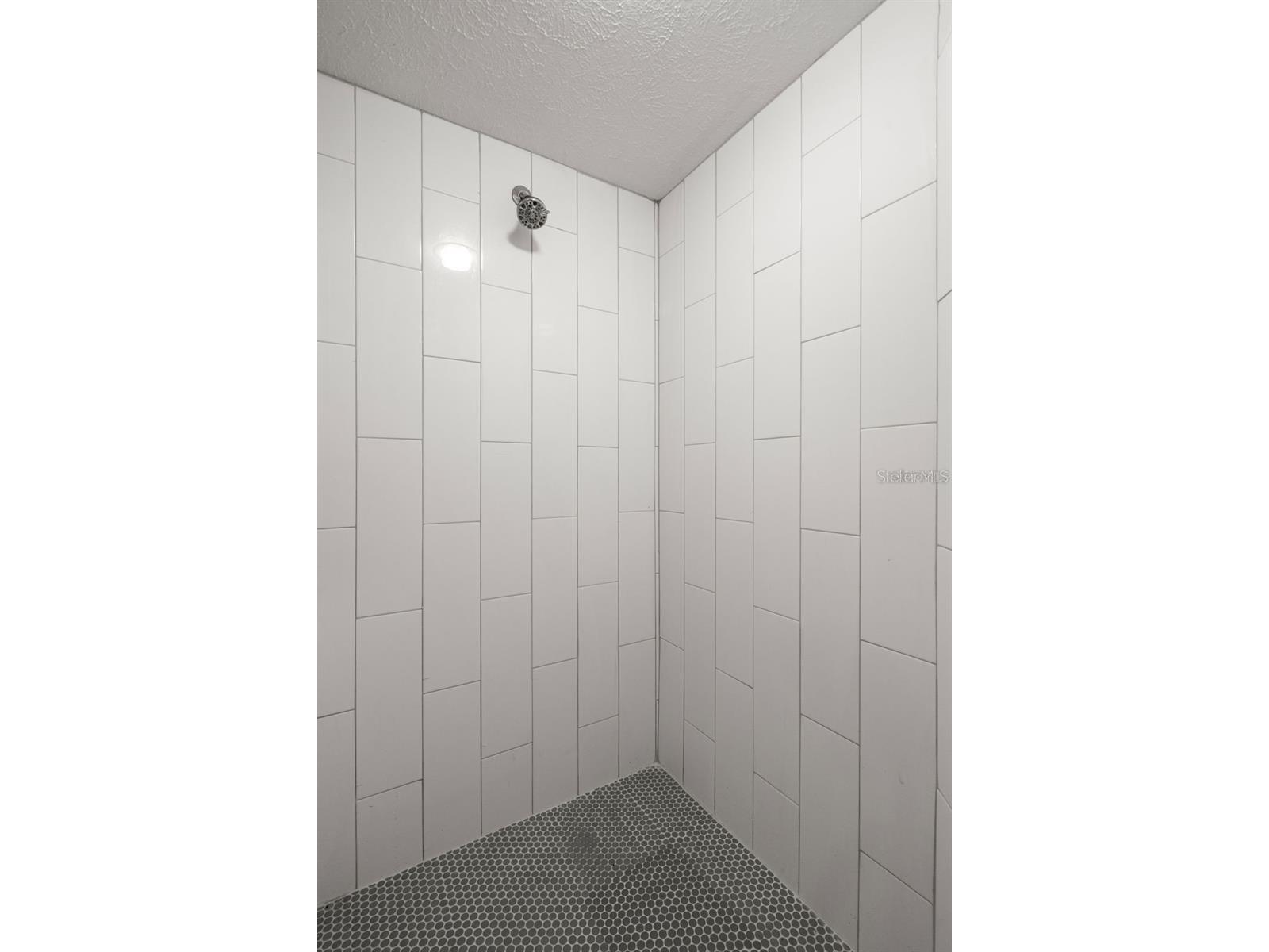 1423 Water View Drive W Largo FL 33771 TB8473014 image36