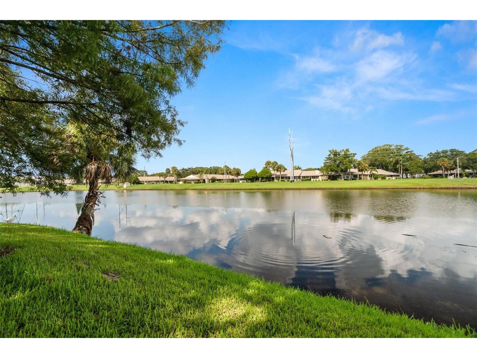 1423 Water View Drive W Largo FL 33771 TB8473014 image43