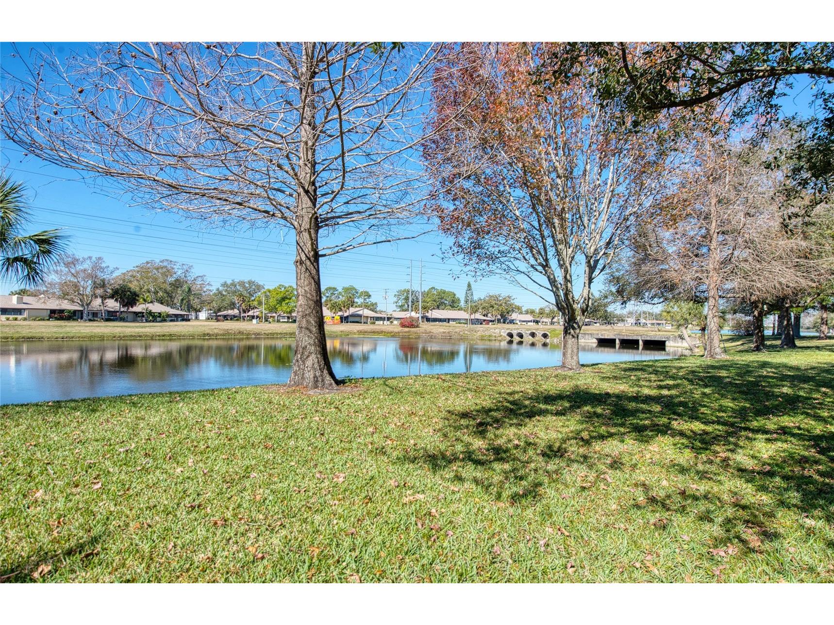 1423 Water View Drive W Largo FL 33771 TB8473014 image9