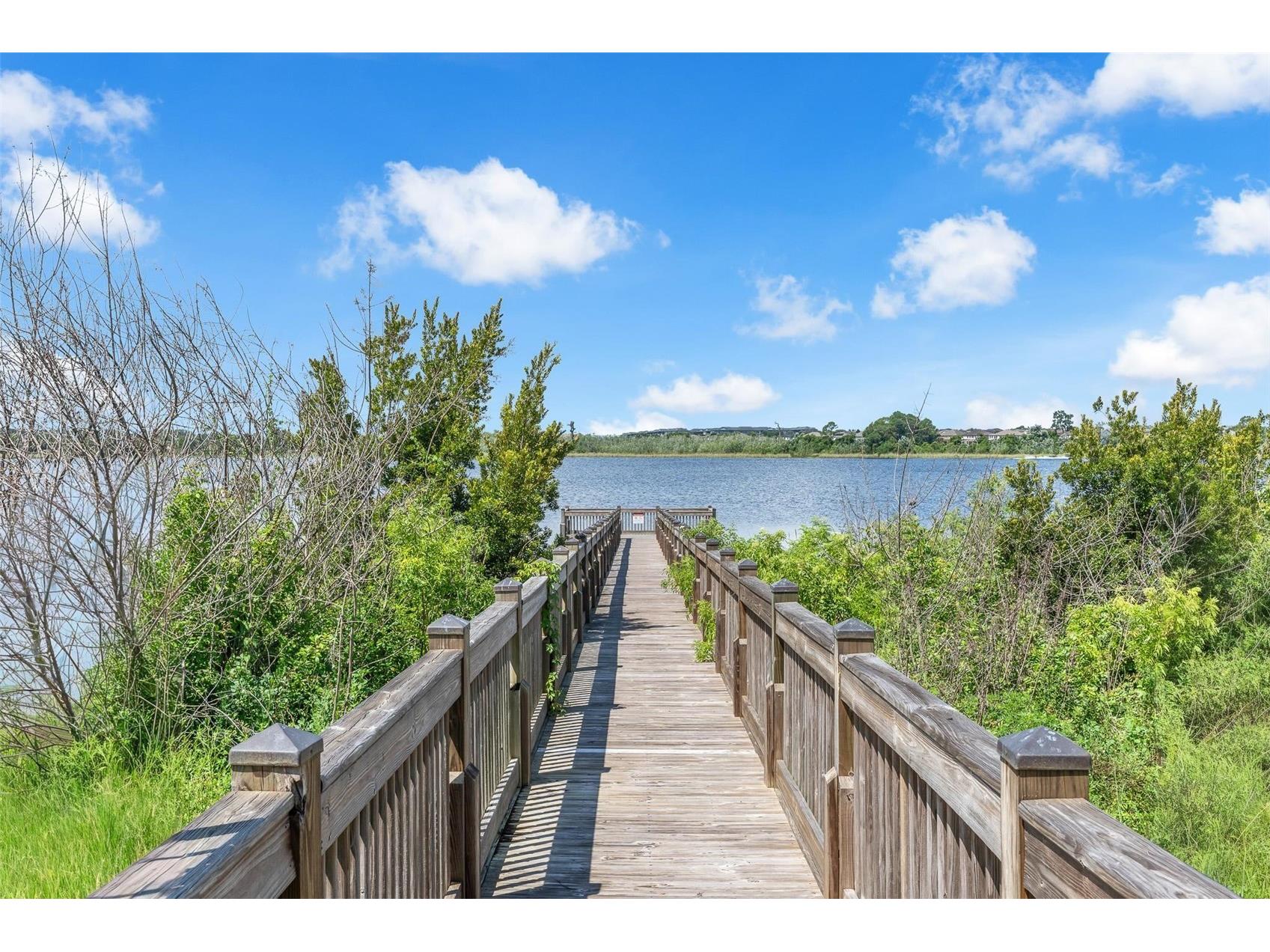 14230 Murcott Blossom Boulevard Winter Garden FL 34787 - HUCKLEBERRY LAKE O6421836 image38